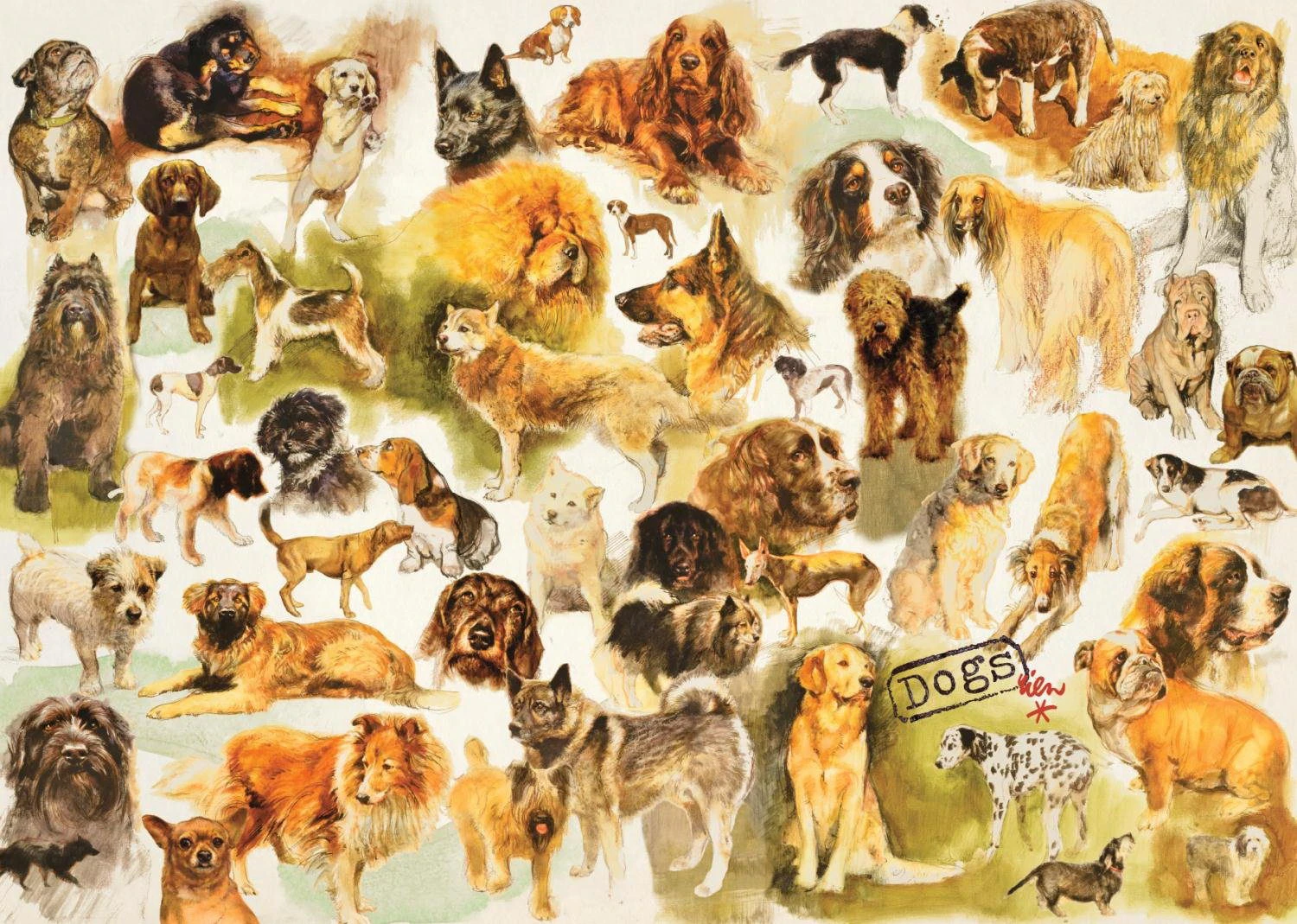 Jumbo Puzzle - Hunde Poster Rien Poortvliet - 1000 Teile 2 Jumbo Puzzle - Hunde Poster Rien Poortvliet - 1000 Teile – Bild 2